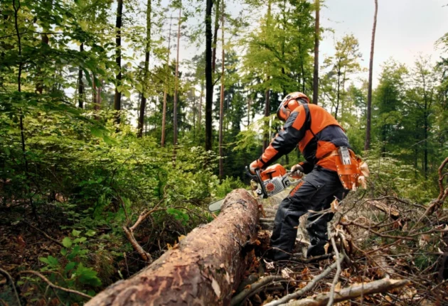 Tronçonneuse Thermique STIHL MS 362 C-M VW – Poignées Chauffantes – Image 2