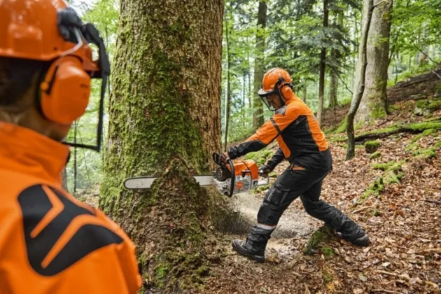 Tronçonneuse Thermique STIHL MS 881 – Ultra Puissante – Image 2