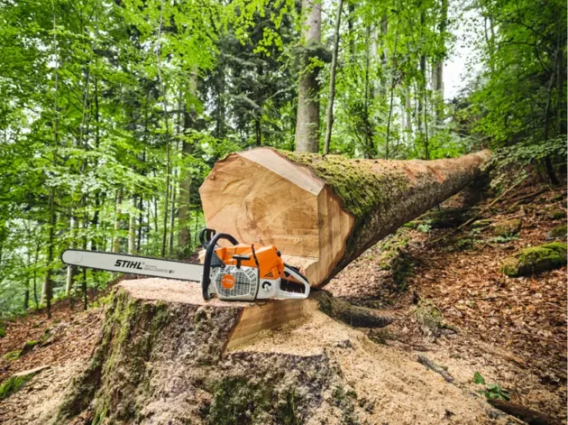 Tronçonneuse Thermique STIHL MS 881 – Ultra Puissante – Image 3