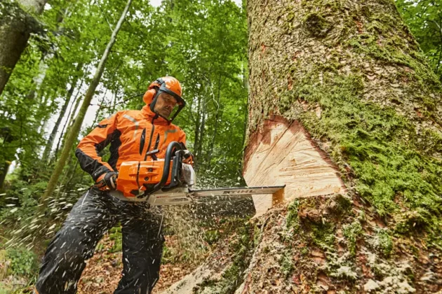 Tronçonneuse Thermique STIHL MS 881 – Ultra Puissante – Image 6